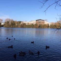 Milton Country Park - One of the lakes at the country park.