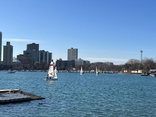 Belmont Harbor by null