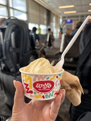 Amy's Ice Creams by null