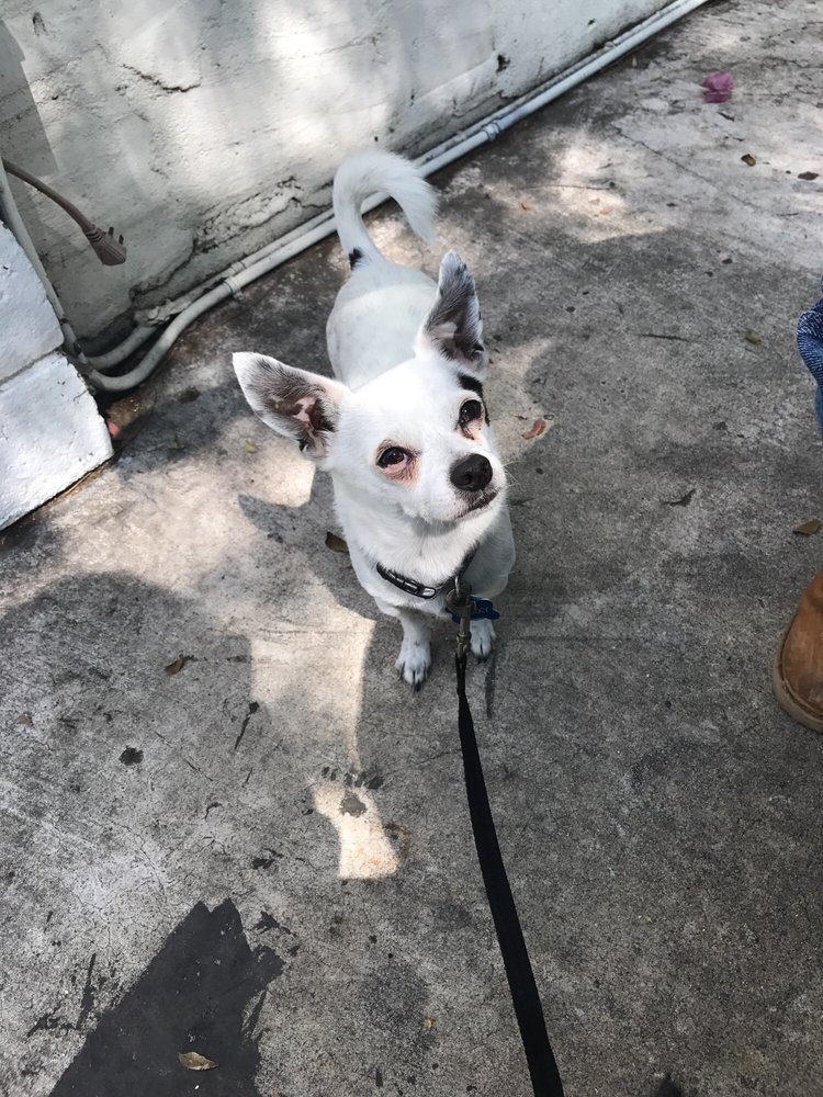 KNEAD BAKING COMPANY CLOSED 133 Photos & 194 Reviews 469 E Ojai