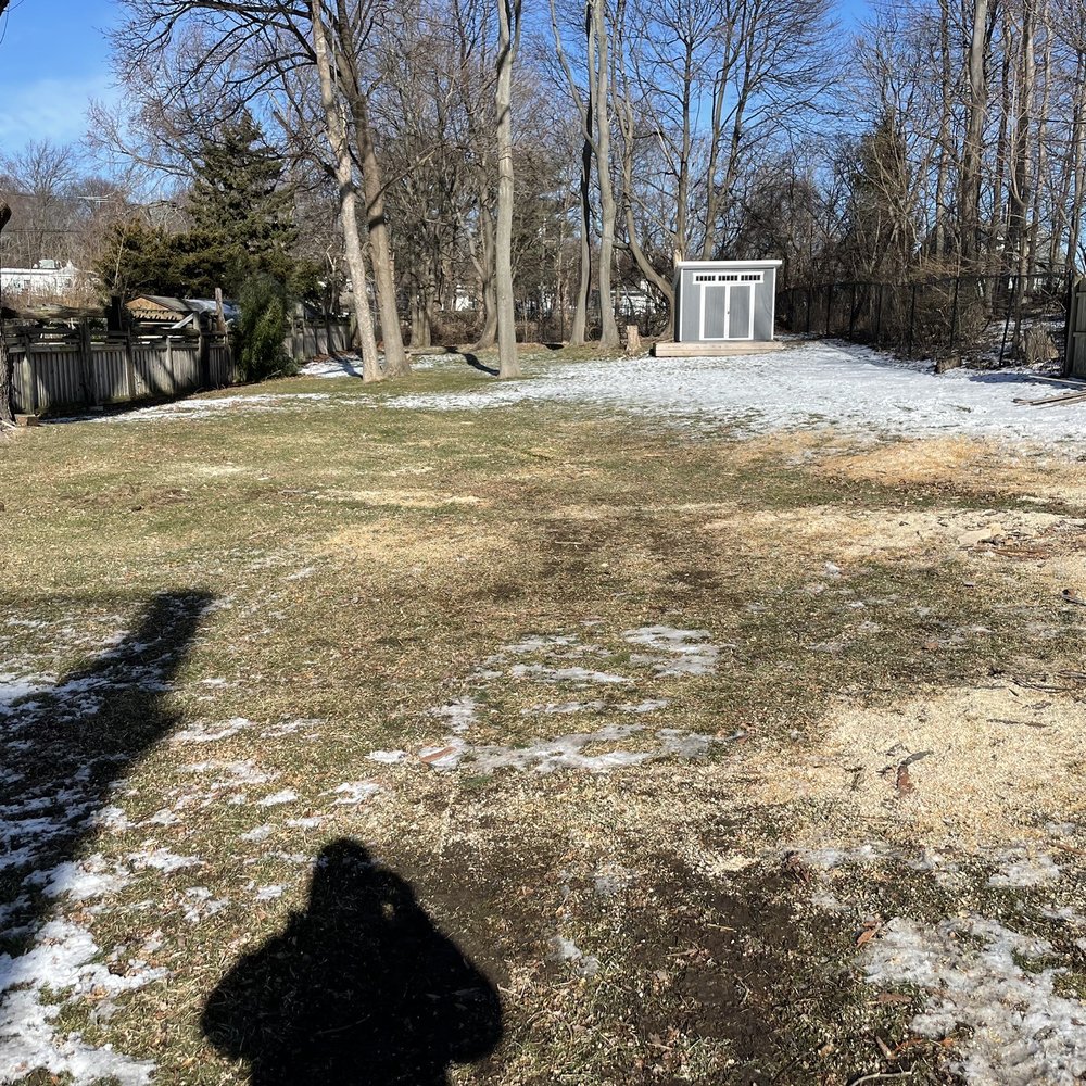 Lopez Landscaping & Tree Service - After the job - Tree Services Near Me - Lynn, Massachusetts Lopez Landscaping & Tree Service - After the job - Tree Services Near Me - Lynn, Massachusetts