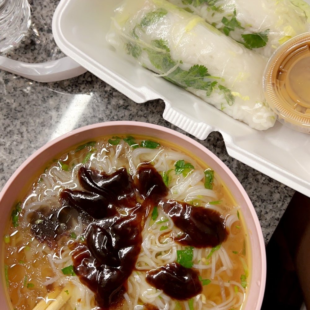Saigon Blossoms - Plain large pho, with beef broth, and tofu spring rolls - Vietnamese Near Me - Tucson, Arizona Saigon Blossoms - Plain large pho, with beef broth, and tofu spring rolls - Vietnamese Near Me - Tucson, Arizona