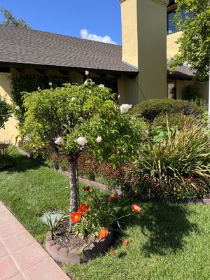 Landmark Vineyards by null