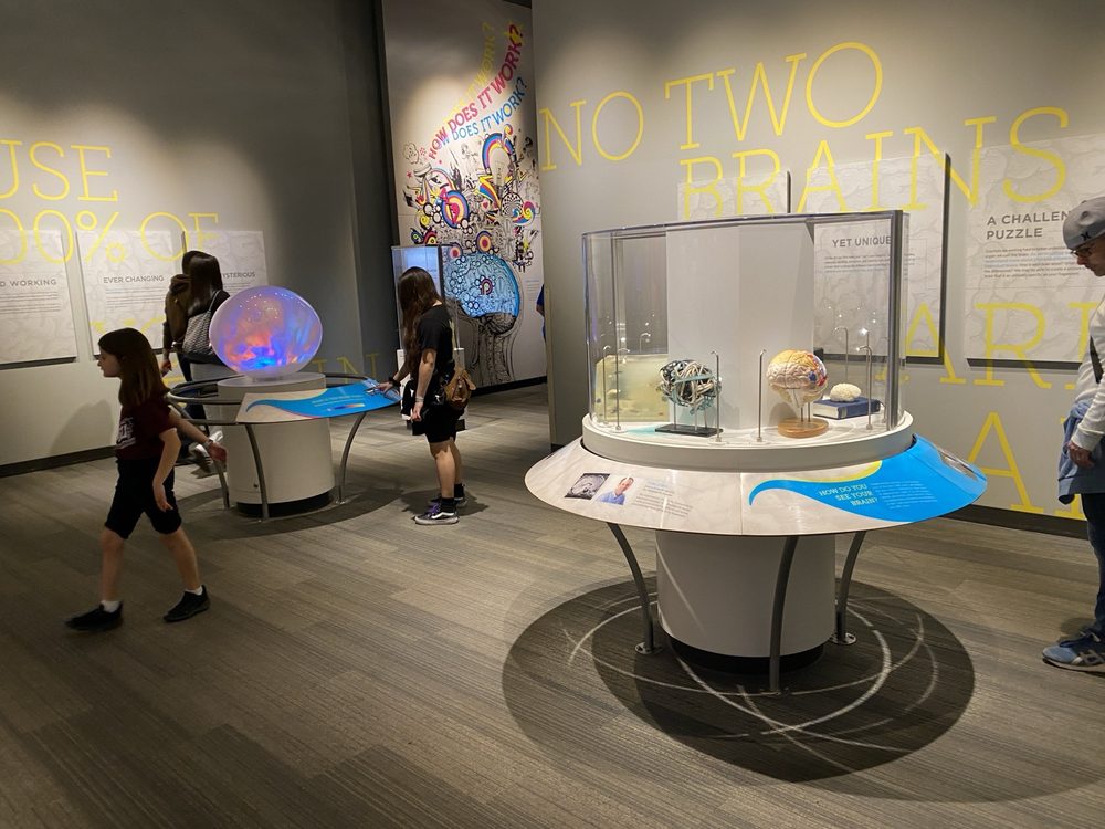 The Franklin Institute  