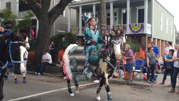 KREWE OF CARROLLTON Updated March 2025 18 Photos St Charles Ave