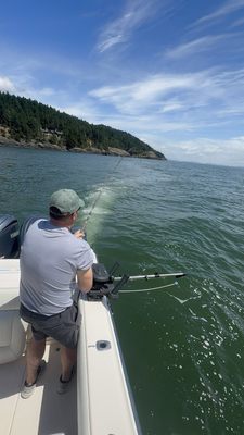 Bon Chovy Fishing Charters by null