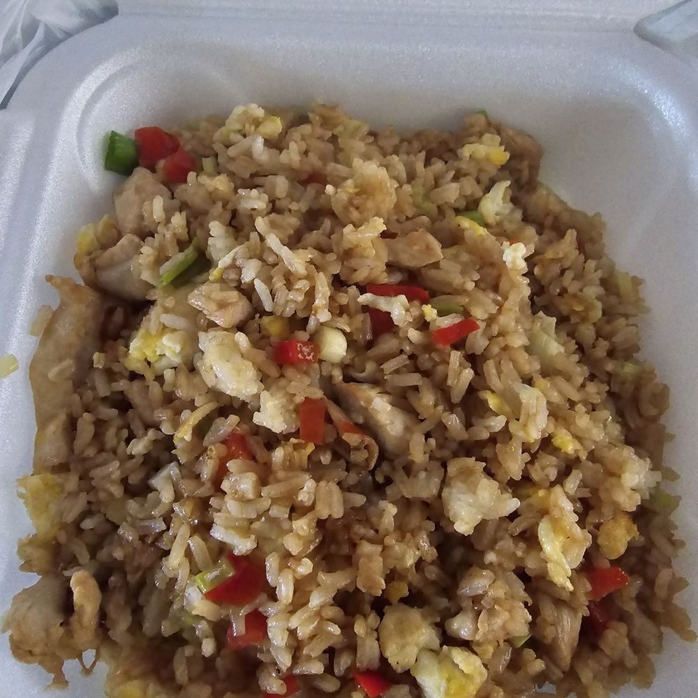 Los Andes Restaurant - Chofa Rice - Latin American Near Me - Jacksonville, Florida
