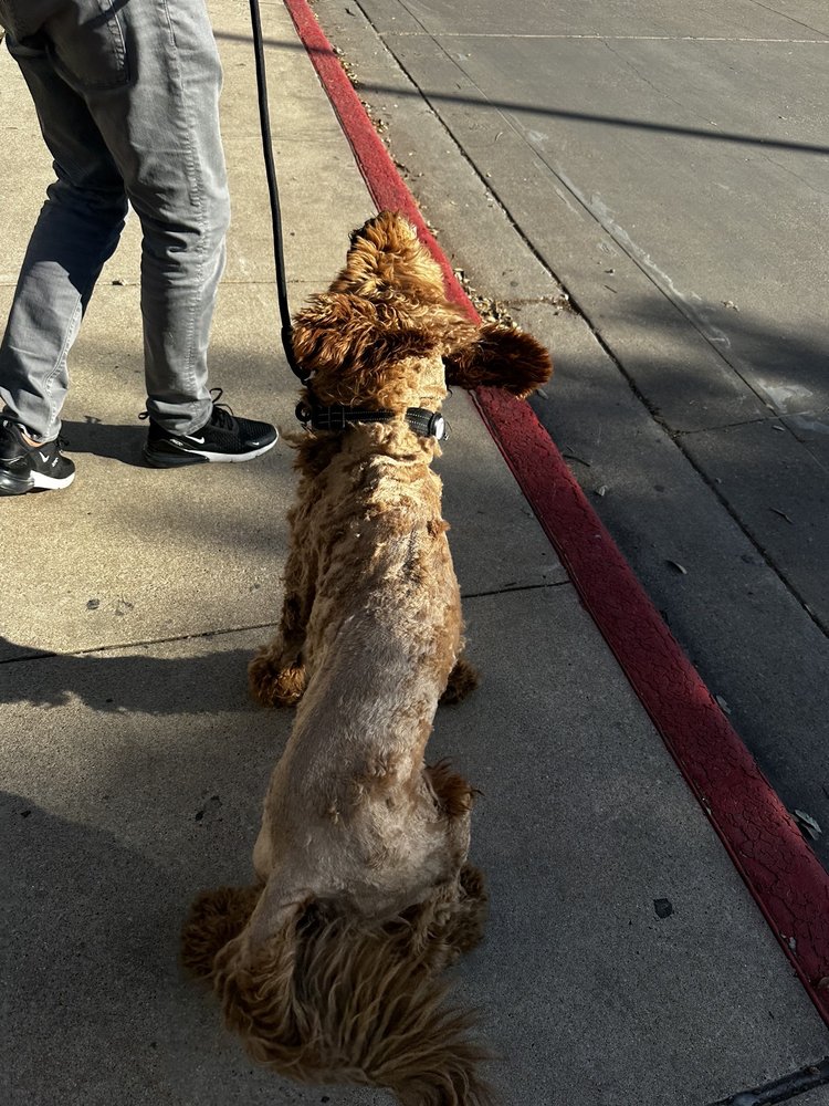 PETCO 17 Photos & 93 Reviews 1000 E 41st St, Austin, Texas Pet