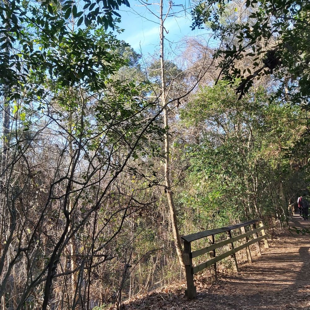 Edith L Moore Nature Sanctuary - Parks Near Me - Houston, Texas Edith L Moore Nature Sanctuary - Parks Near Me - Houston, Texas