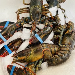 lobsters on ice lobsters on ice