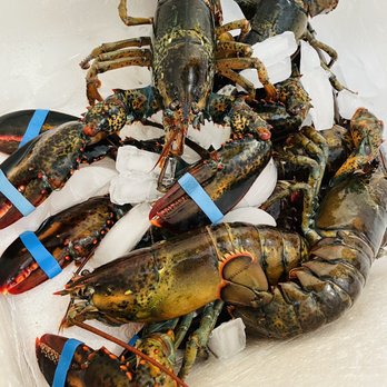 Taylor Lobster Company - lobsters on ice - Seafood Markets Near Me - Kittery, Maine Taylor Lobster Company - lobsters on ice - Seafood Markets Near Me - Kittery, Maine