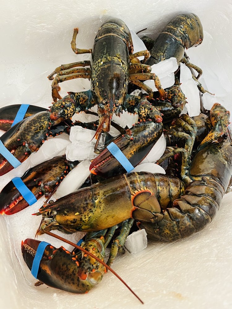 TAYLOR LOBSTER COMPANY Updated September 2024 44 Photos & 33