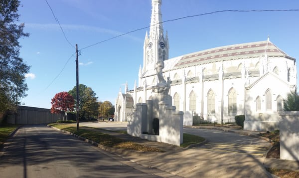 The Basilica of Saint Mary of the Immaculate Conception by null