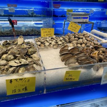 G Mart - Fresh oysters, clams, surf clams, and conch - Grocery Near Me - Hackensack, New Jersey