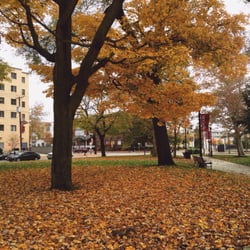 Johnson Park