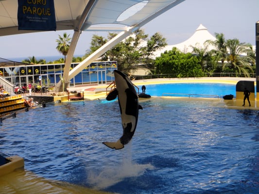 Loro Parque by null