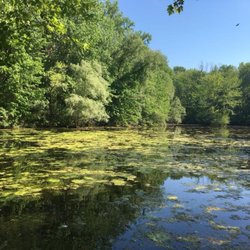 Thousand Acre Swamp