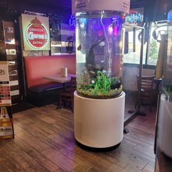 Matt's Aquarium Detailing