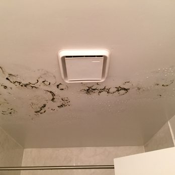 Black Mold And Leaking Ceiling Told It Was From Showering With