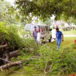 Big Country Trees - We offer full-service trimming and hauling in addition to advanced arborist services.