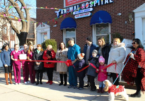 Animal Hospital Of Perth Amboy 276 High St Perth Amboy Nj Veterinarians Mapquest