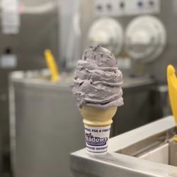 The Meadows Original Frozen Custard - New Alexandria - Blueberry Cheesecake Custard Cone