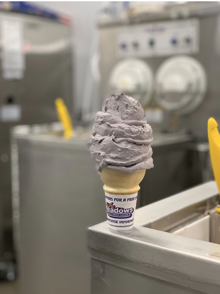 THE MEADOWS ORIGINAL FROZEN CUSTARD NEW ALEXANDRIA Updated