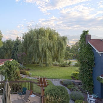 Country Willows Inn - View from the Breakfast Room - Bed & Breakfast Near Me - Ashland, Oregon Country Willows Inn - View from the Breakfast Room - Bed & Breakfast Near Me - Ashland, Oregon