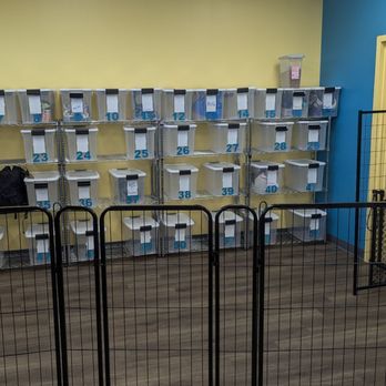 Baltimore Bark House - They keep their leash and items in these bins kind of like in kindergarten. - Pet Boarding Near Me - Baltimore, Maryland