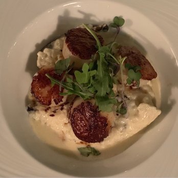 Coral - Scallops - Seafood Near Me - Greenville, South Carolina Coral - Scallops - Seafood Near Me - Greenville, South Carolina