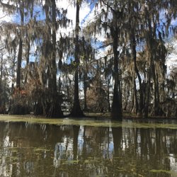 Bayou Teche Experience