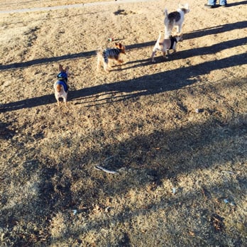Sunset Park - Lots of small dogs - Dog Parks Near Me - Las Vegas, Nevada