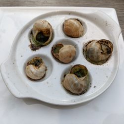 Restaurant Le 26 - Escargot