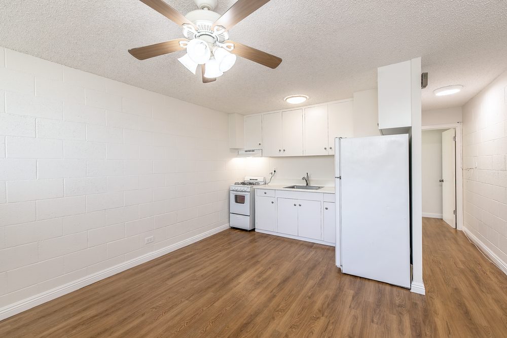 Slide of Hana Ho Painting