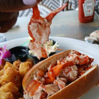 Bar Fly Safety Harbor - Lobster roll full of meat & tater tots! - Seafood Near Me - Safety Harbor, Florida