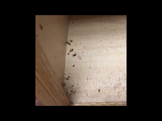 Hideaway Gainesville by null