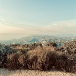 Mount Soledad Hiking Trail