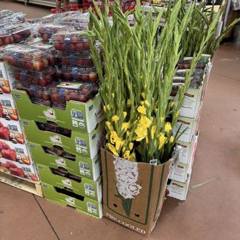 Trader Joe's - Grocery Near Me - Mt. Pleasant, South Carolina