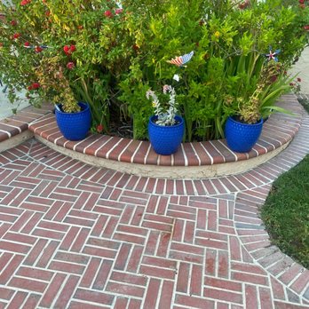 Plant Safari - Two of them are Sun Coleus and the middle a succulent - Nurseries & Gardening Near Me - Upland, California Plant Safari - Two of them are Sun Coleus and the middle a succulent - Nurseries & Gardening Near Me - Upland, California