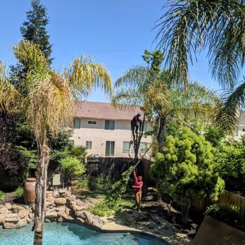 De La Cruz Tree Service - Tree Services Near Me - Elk Grove, California De La Cruz Tree Service - Tree Services Near Me - Elk Grove, California