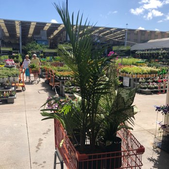 The Home Depot - Nurseries & Gardening Near Me - Sarasota, Florida