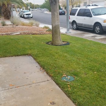 Ruben's Lawn Service - Landscaping Near Me - Las Vegas, Nevada Ruben's Lawn Service - Landscaping Near Me - Las Vegas, Nevada