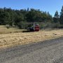 Photo of Extreme Brush