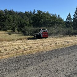 Extreme Brush - Brush clearing