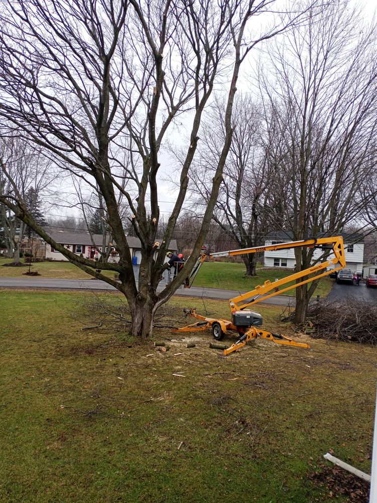 Slide of Call Paul Maintenance Services