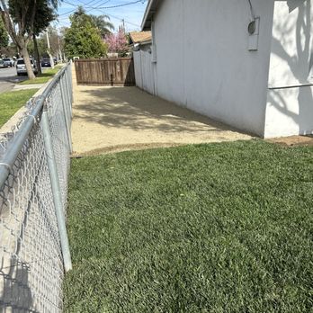 Clear View Tree Services - New Pea Gravel and grass - Tree Services Near Me