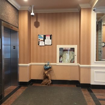 R & N Eye Centre - The main lobby where the Security Desk is located for parking passes. - Optometrists Near Me - Scarborough, Ontario R & N Eye Centre - The main lobby where the Security Desk is located for parking passes. - Optometrists Near Me - Scarborough, Ontario