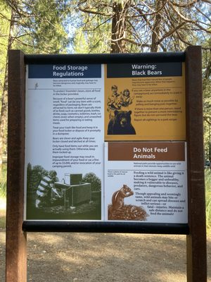 Wawona Campground by null