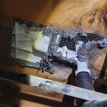 Be Gone Pest Solutions - After - Pest Control Near Me - Renton, Washington