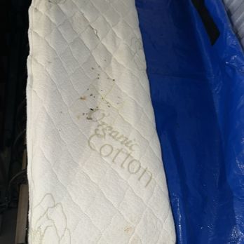 Store Space Self Storage - Mouse poop on the fancy bed I had to throw out - A used mattress with visible stains and dirt marks, labeled "Luxury Cotton," is shown on a blue plastic sheet, possibly in storage or disposal. - Self Storage Near Me - Providence, Rhode Island